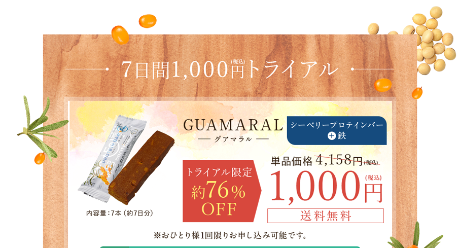 GUAMARAL グアマラル シーベリープロテインバー+鉄