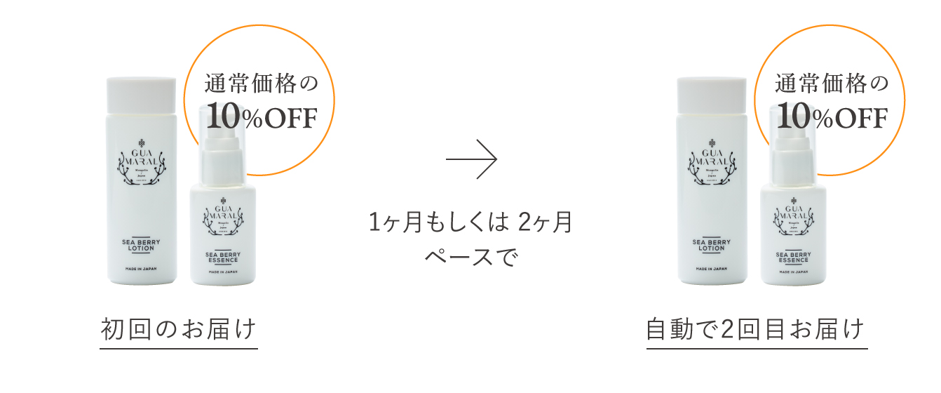 定期コースについて