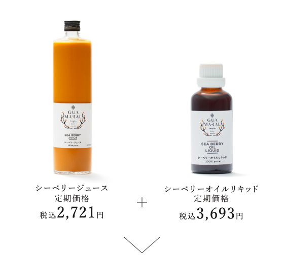 ご購入の例